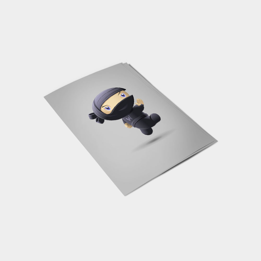 Flying Ninja - Image 4