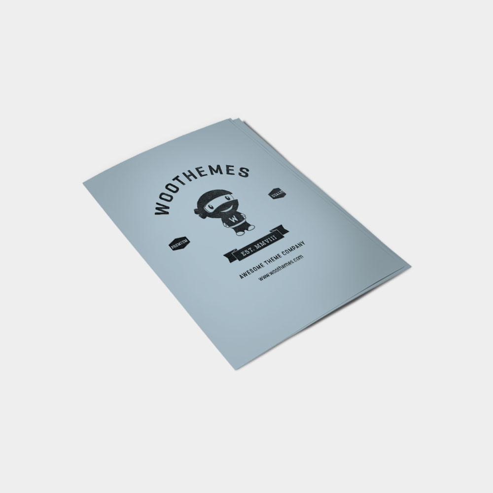 Flying Ninja - Image 2